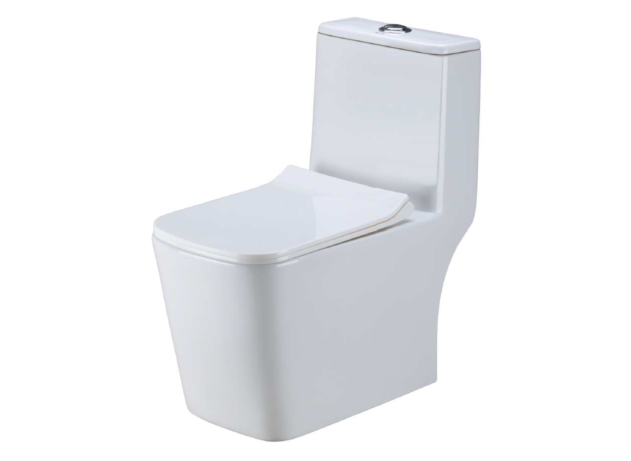 Lavinias  One Piece Water Closet